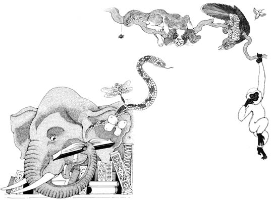 Elephant and Bookseller